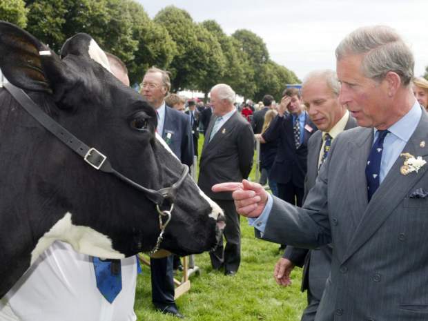 princecharlesuseshomeopathicmedicineforhiscattle